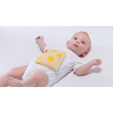  Lille kirsebærstenspude 19x19 cm